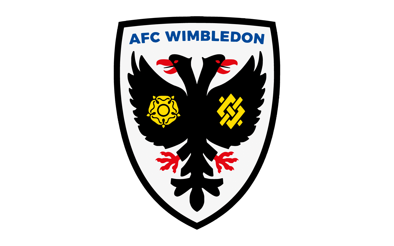 AFC Wimbledon Audit Accounts Document 2024-25